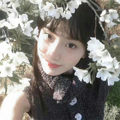 仙女座报告